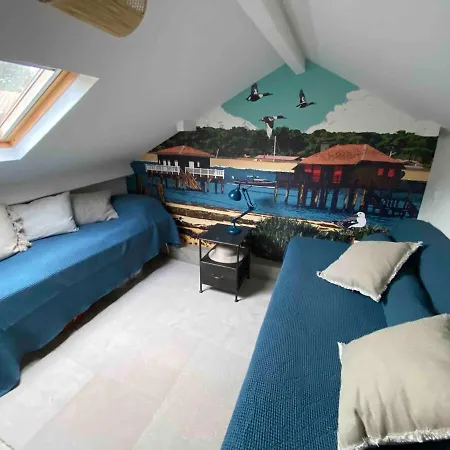Eureka Air Conditioned Abatilles Villa Arcachon